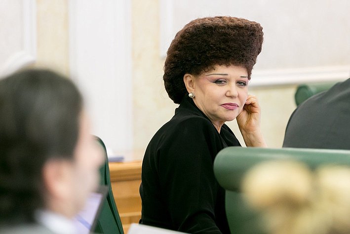 В. Петренко на заседании Комитета Совета Федерации по конституционному законодательству и государственному строительству