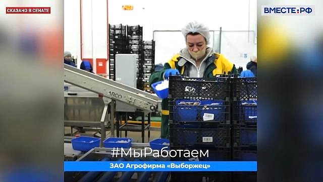 Сергей Перминов ответил 18 апреля в эфире парламентского телеканала «Вместе-РФ» на вопросы, связанные с импортозамещением в условиях санкций и решениями в экономике в этот период