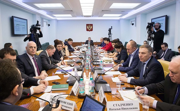 Заседание Комитета Совета Федерации по социальной политике