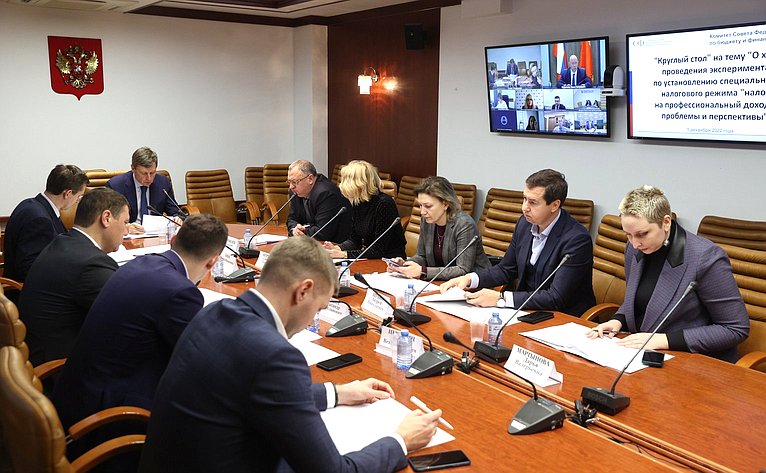 Круглый стол Комитета СФ по бюджету и финансовым рынкам