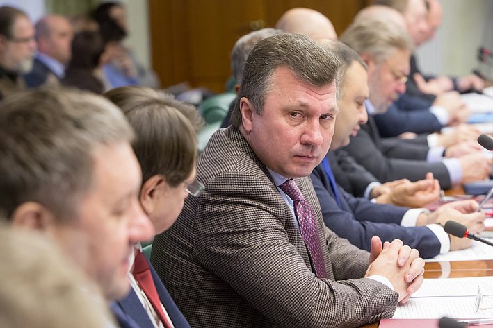В. Васильев Заседание Комитета СФ по экономической политике