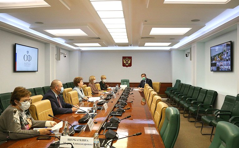 Заседание Совета по развитию социальных инноваций субъектов РФ при Совете Федерации на тему «Креативные индустрии. Современные тренды развития регионов»