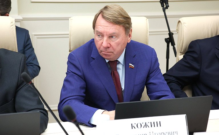 Владимир Кожин
