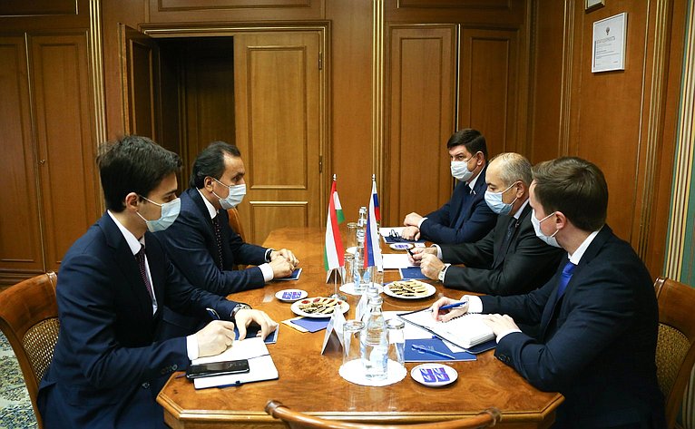 Встреча заместителя Председателя СФ Ильяса Умаханова с Чрезвычайным и Полномочным послом Республики Таджикистан в РФ