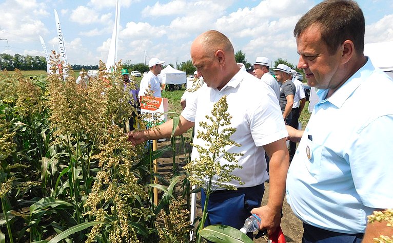 Алексей Кондратенко в Краснодарском крае принял участие в девятом ежегодном Дне поля Юга России