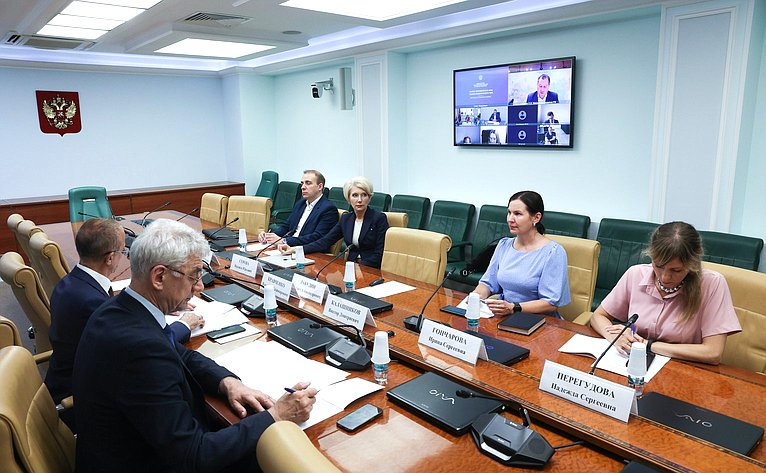 Круглый стол Комитета Совета Федерации по экономической политике «Развитие особых экономических зон технико-внедренческого типа как драйвер инноваций»