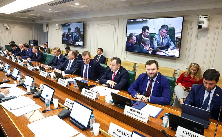 Заседание Комитета Совета Федерации по экономической политике