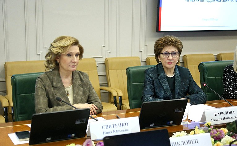 Рабочее совещание заместителя Председателя СФ Галины Кареловой по решению вопросов занятости с участием представителей Министерства труда