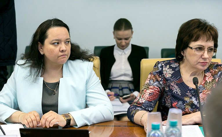 А. Отке и Е. Бибикова на заседании Комитета СФ по социальной политике
