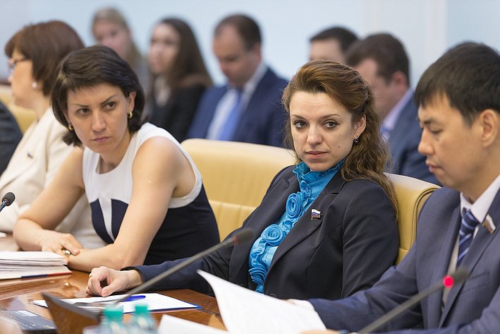 Т. Лебедева и Ю. Вепринцева Заседание Комитета Совета Федерации по социальной политике