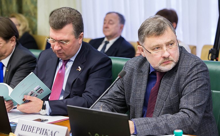 В. Васильев и В. Шверикас на расширенном заседании Комитета Совета Федерации по экономической политике