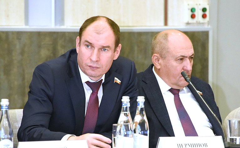 Дмитрий Перминов