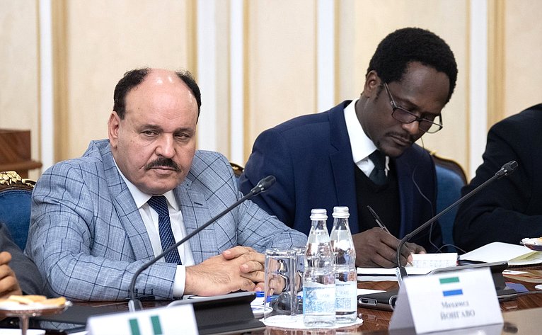 Встреча сенаторов с послами африканских стран в России