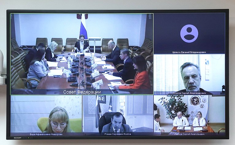Круглый стол Комитета Совета Федерации по социальной политике «Актуальные вопросы реализации в субъектах Российской Федерации национального проекта «Продолжительная и активная жизнь»»