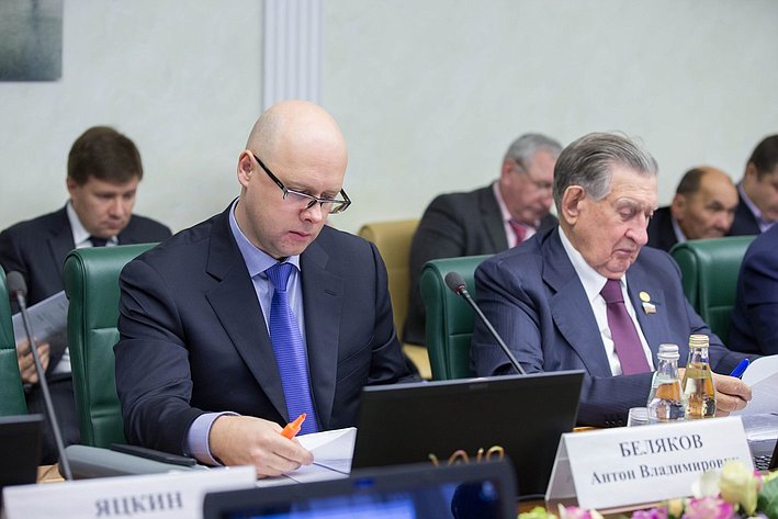 А. Беляков Заседание Комитета Совета Федерации по экономической политике