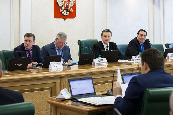 Заседание Комитета СФ по бюджету и финансовым рынкам