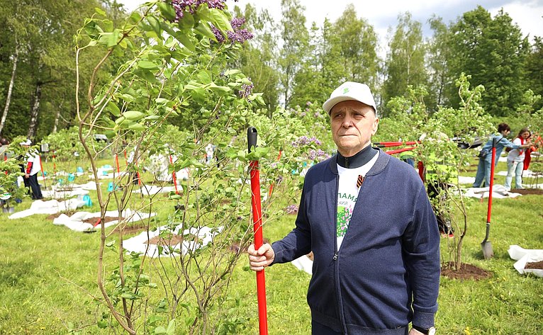 В Год защитника Отечества и 80-летия Победы в Великой Отечественной войне 1941–1945 годов сенаторы РФ и сотрудники Аппарата СФ провели акцию «Сад Памяти» — высадили 250 кустов сирени в музее-заповеднике «Горки Ленинские»