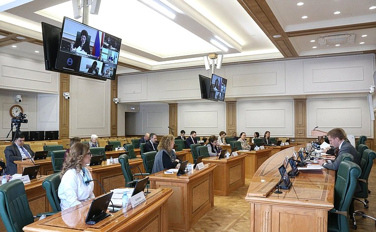 Заседание Совета по развитию социальных инноваций субъектов РФ при СФ