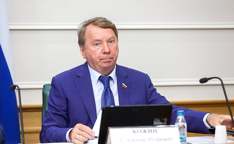 Владимир Кожин