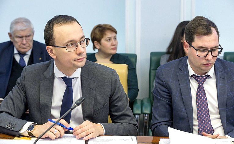 Заседание Экспертного совета по здравоохранению при Комитете СФ по социальной политике
