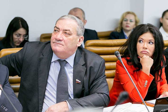 В. Штыров на расширенном заседании Комитета Совета Федерации по обороне и безопасности