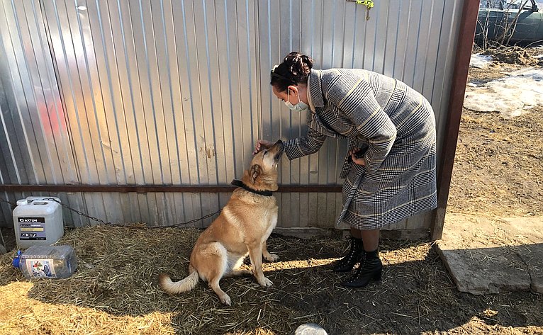 Ирина Петина в ходе поездки в регион посетила две площадки городской службы по контролю за безнадзорными животными и несколько приютов