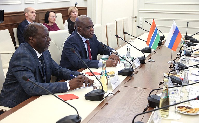 Встреча заместителя председателя Комитета СФ по международным делам Фарита Мухаметшина с Чрезвычайным и Полномочным Послом Республики Гамбия в Российской Федерации