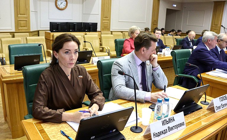 Заседание Комитета Совете Федерации по федеративному устройству, региональной политике, местному самоуправлению и делам Севера