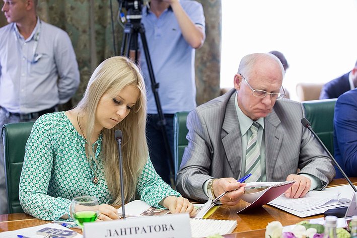 В Совете Федерации состоялось заседание Комитета общественной поддержки жителей Юго-Востока Украины-12