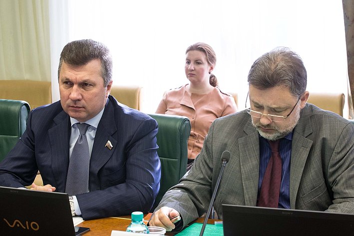 В. Васильев Заседание Комитета СФ по экономической политике