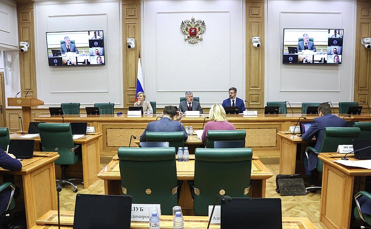 Заседание Экспертно-консультативного совета при Комитете СФ по конституционному законодательству и государственному строительству
