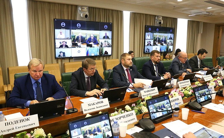 Круглый стол Комитета СФ по экономической политике совместно с Комитетом СФ по международным делам