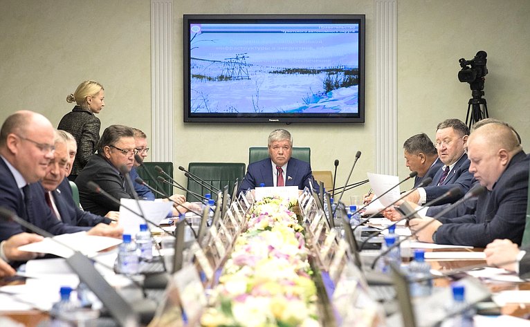 В СФ состоялось заседание Комитета по экономической политике с участием представителей власти Чукотского автономного округа