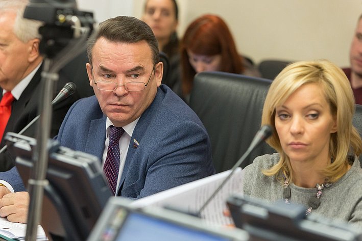 И. Морозов Заседание Комитета Совета Федерации по международным делам