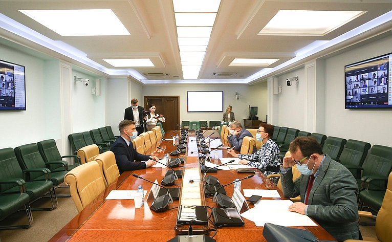 Заседание Экспертного совета по здравоохранению при Комитете СФ по социальной политике
