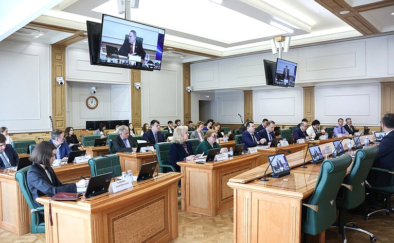 Круглый стол Комитета СФ по конституционному законодательству и государственному строительству