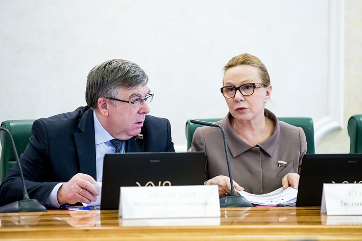 Совет по развитию социальных инноваций субъектов РФ Рязанский и Косткина