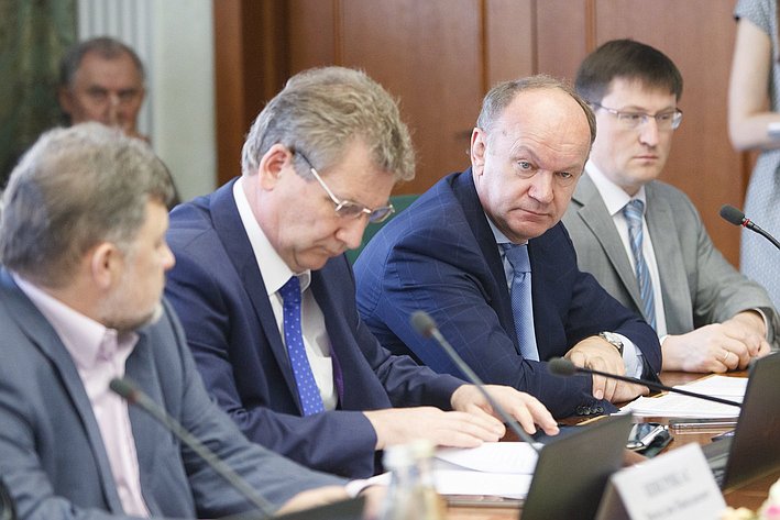 27-05 Заседание Комитета СФ по экономической политике 9