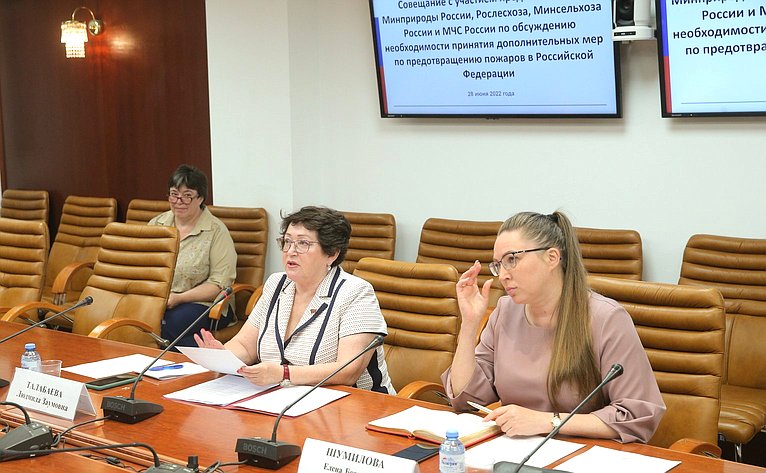 Совещание Комитета СФ по аграрно-продовольственной политики и природопользованию по обсуждению необходимости принятия дополнительных мер по предотвращению пожаров в РФ