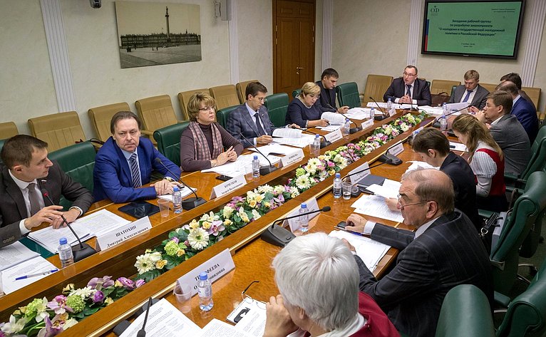 Заседание рабочей группы Комитета СФ по социальной политике по разработке законопроекта «О молодежи и государственной молодежной политике в РФ»