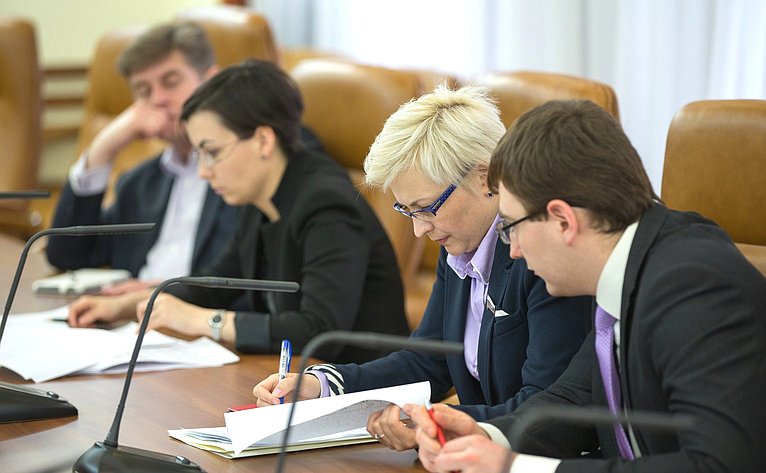 Заседание Временной комиссии Совета Федерации по развитию информационного общества