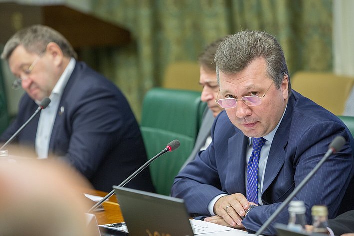 В. Васильев Заседание Комитета Совета Федерации по экономической политике