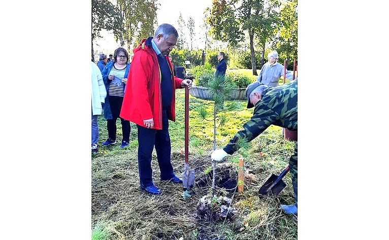 Александр Ракитин принял участие в акции «Сад памяти», которую организуют «Волонтеры Победы»