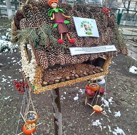 Надежда Ильина подвела итоги проведения в рамках Всероссийских природоохранных социально-образовательных проектов «Эколята–Дошколята», «Эколята», «Молодые защитники Природы» Всероссийского конкурса игрушек-кормушек «Эколята – друзья пернатых»