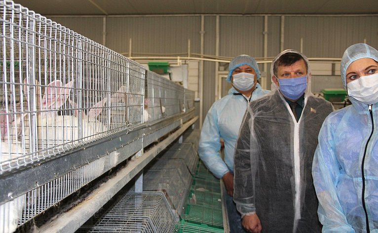 Сергей Михайлов посетил первую кролиководческую ферму в Дальневосточном федеральном округе, которая расположена в районе города Читы