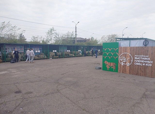 Баир Жамсуев посетил второй этап Российской выставки племенных овец и коз в Чите