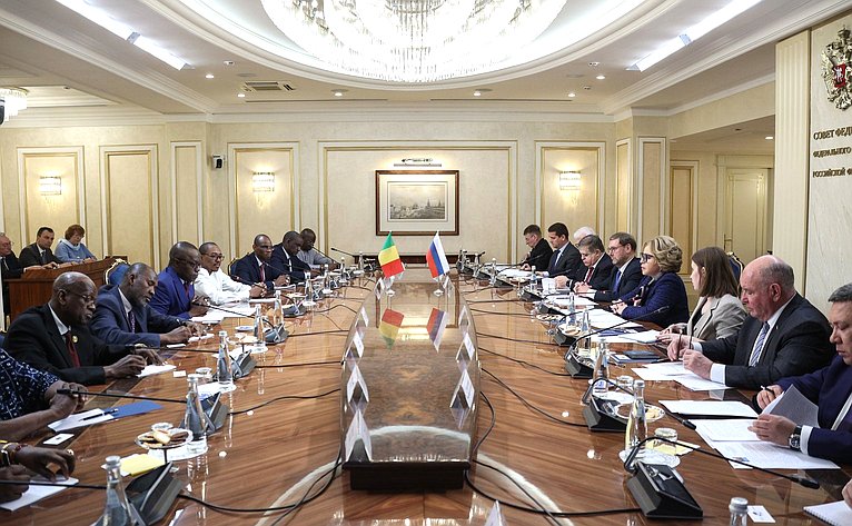 Встреча Председателя Совета Федерации Валентины Матвиенко с Председателем Национального переходного совета Республики Мали
