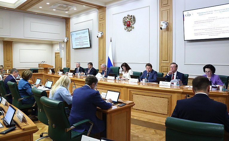 Заседание Комитета Совета Федерации по бюджету и финансовым рынкам
