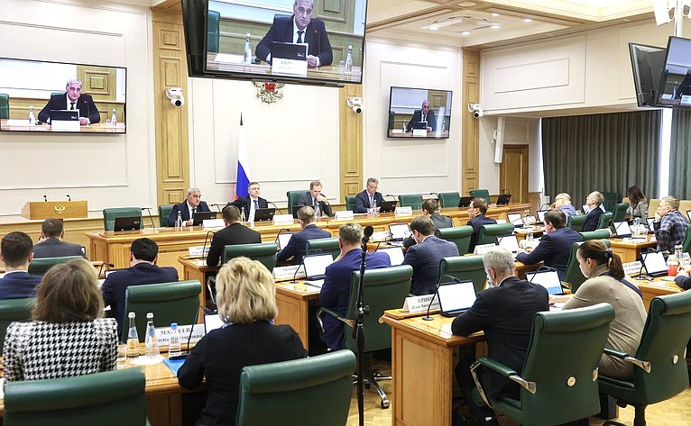 Парламентские слушания Комитета СФ по экономической политике