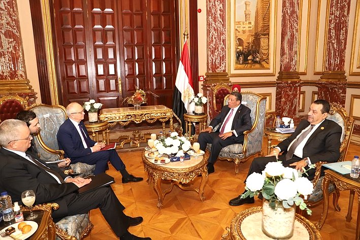 Фарит Мухаметшин в Сенате АРЕ провел консультации с египетскими партнерами